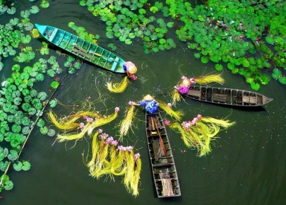 Saigon - Mekong Delta 1 Day Tour Package