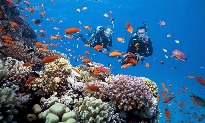 HO CHI MINH CITY - PHU QUOC ISLAND 7 DAYS 6 NIGHTS TOUR ITINERARY