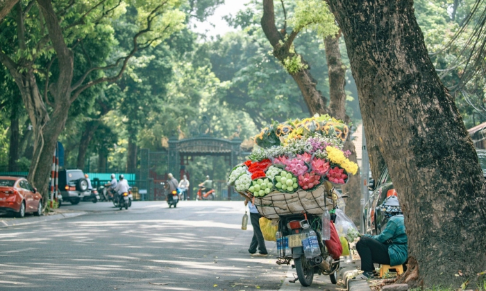 DA NANG - HOI AN - SAPA - HA NOI - HALONG BAY 7 DAYS 6 NIGHTS TOUR PACKAGE