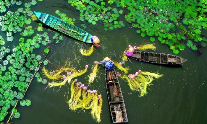 Saigon - Mekong Delta 1 Day Tour Package