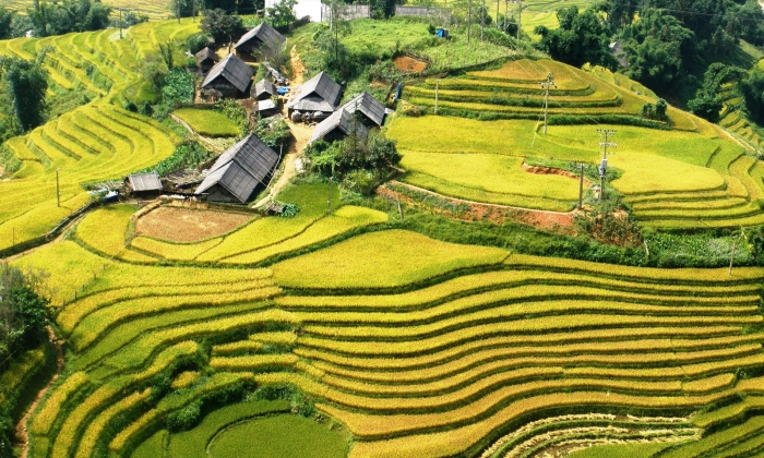  HA NOI - NINH  BINH  -  HA  LONG  -  TAM DAO - SAPA  8 DAYS  7  NIGHTS  TOUR PACKAGE